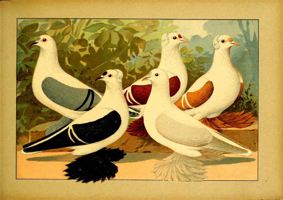 Schachtzabel 1906 Tafel 40