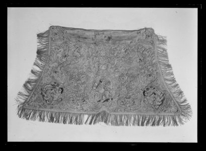 Schabrak, guldbroderat - Livrustkammaren - 729