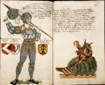 Schembartbuch 248v-249r