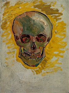 Schedel - s0128V1962 - Van Gogh Museum