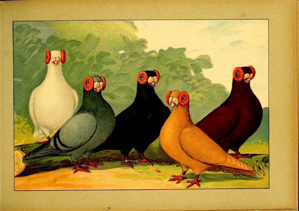 Schachtzabel 1906 Tafel 10