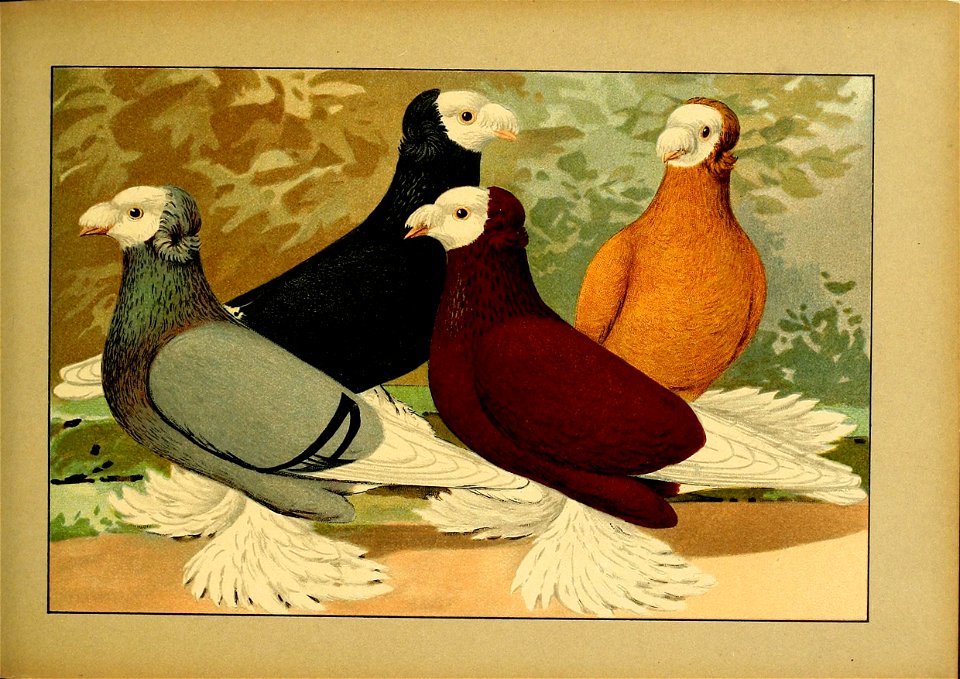 Schachtzabel 1906 Tafel 48