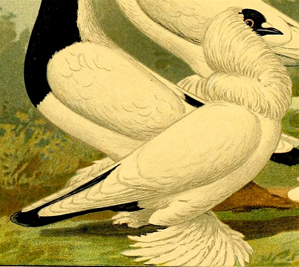 Schachtzabel 1906 Tafel 44 (cropped)