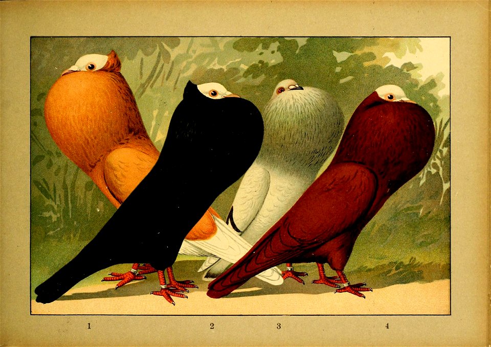 Schachtzabel 1906 Tafel 57