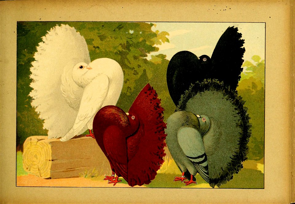 Schachtzabel 1906 Tafel 52