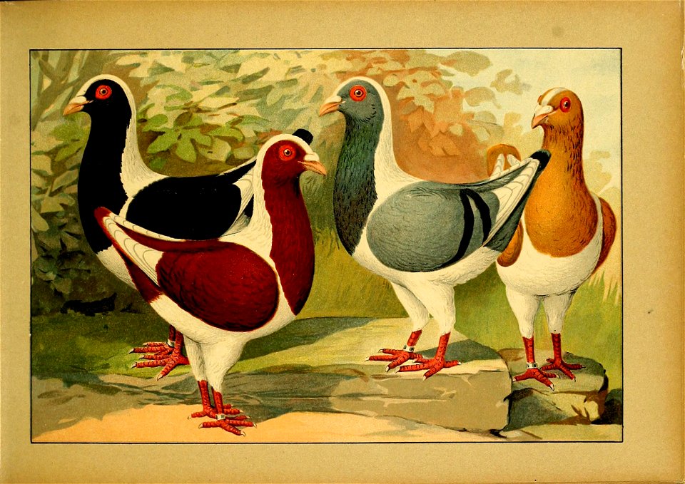 Schachtzabel 1906 Tafel 04