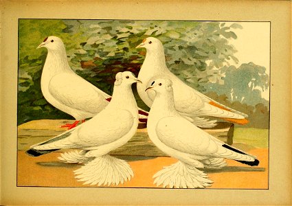 Schachtzabel 1906 Tafel 42