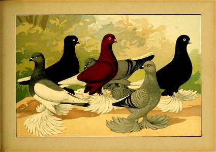 Schachtzabel 1906 Tafel 87