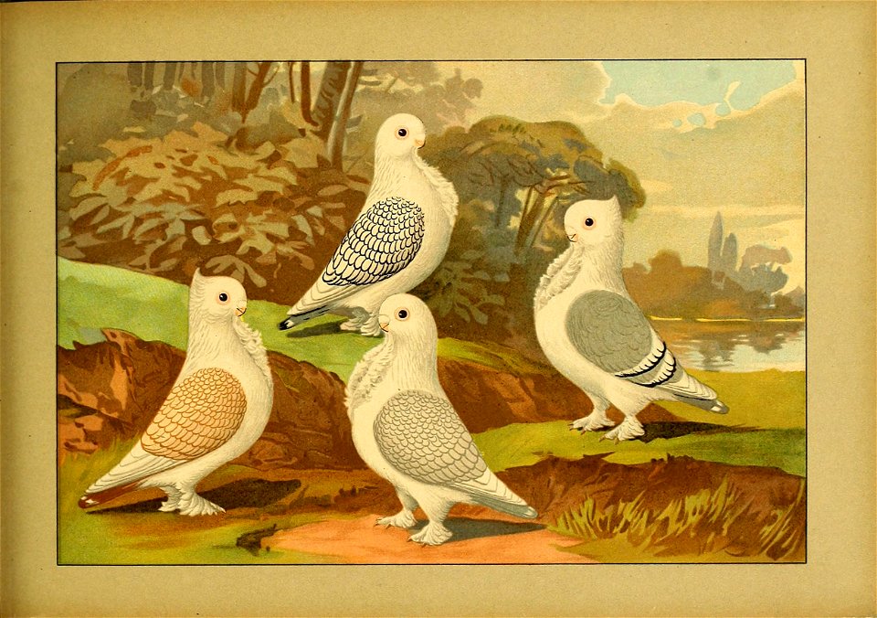 Schachtzabel 1906 Tafel 73