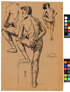 Schiele - Peschka - Stehender Rückenakt, 304968, v, 1907–1908