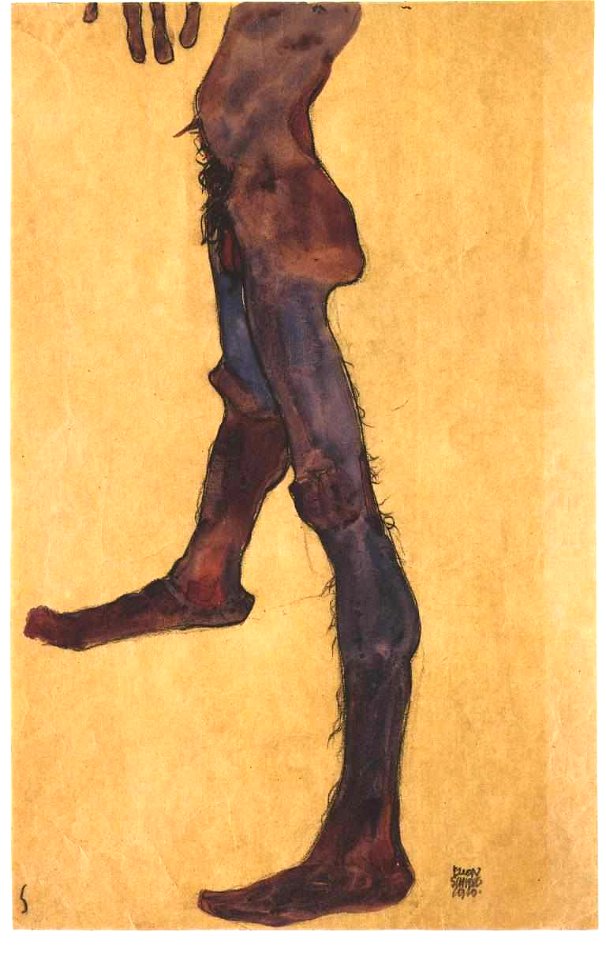 Schiele - Männlicher Akttorso -1910