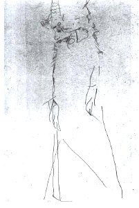 Schiele - Gerta Schiele mit geschlossenen Augen