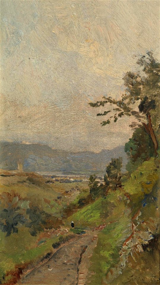 Emil Jakob Schindler - Weißenkirchen an der Donau (1879)