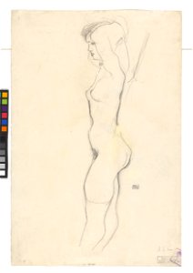 Schiele - Weiblicher Akt (verso), 95465, 1913