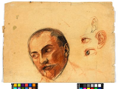 Schiele - Studienblatt (Kopf, Augen, Ohren), 304948, 1906
