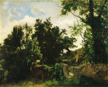 Schindler – Castle wall in Plankenberg
