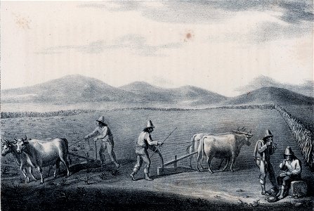 Schmidtmeyer, Peter & Scharf, G - Ploughing -JCB Library f1.2