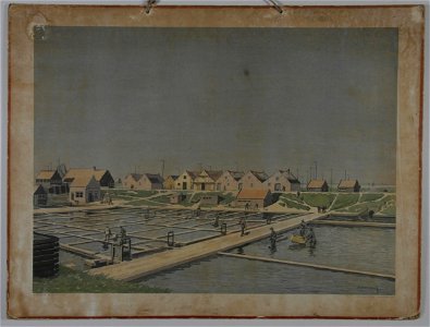 Schoolplaat Nederland in woord en beeld - Oesterputten bij Ierseke (P R Bos, B Bueninck, uitg J B Wolters.1915), collectie Centre Céramique, Maastricht
