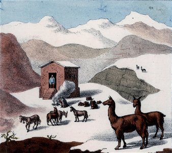 Schmidtmeyer- Scharf, George Johann - A hut in the mountains with snow and guanacos -JCB Library f1.1. Free illustration for personal and commercial use.