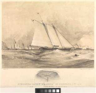 Schooner Yacht 'America' off Dunnose, I.W. in 1851 RMG PY0477. Free illustration for personal and commercial use.