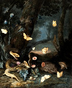 Otto Marseus van Schrieck - Three snakes, lizard and toad (1663). Free illustration for personal and commercial use.