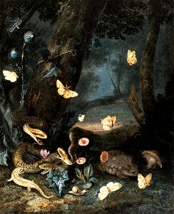 Otto Marseus van Schrieck - Three snakes, lizard and toad (1663)