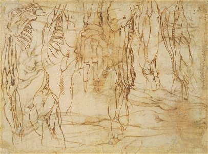School of Michelangelo Buonarroti - Verso anatomical studies. c.1520, RCIN 990475