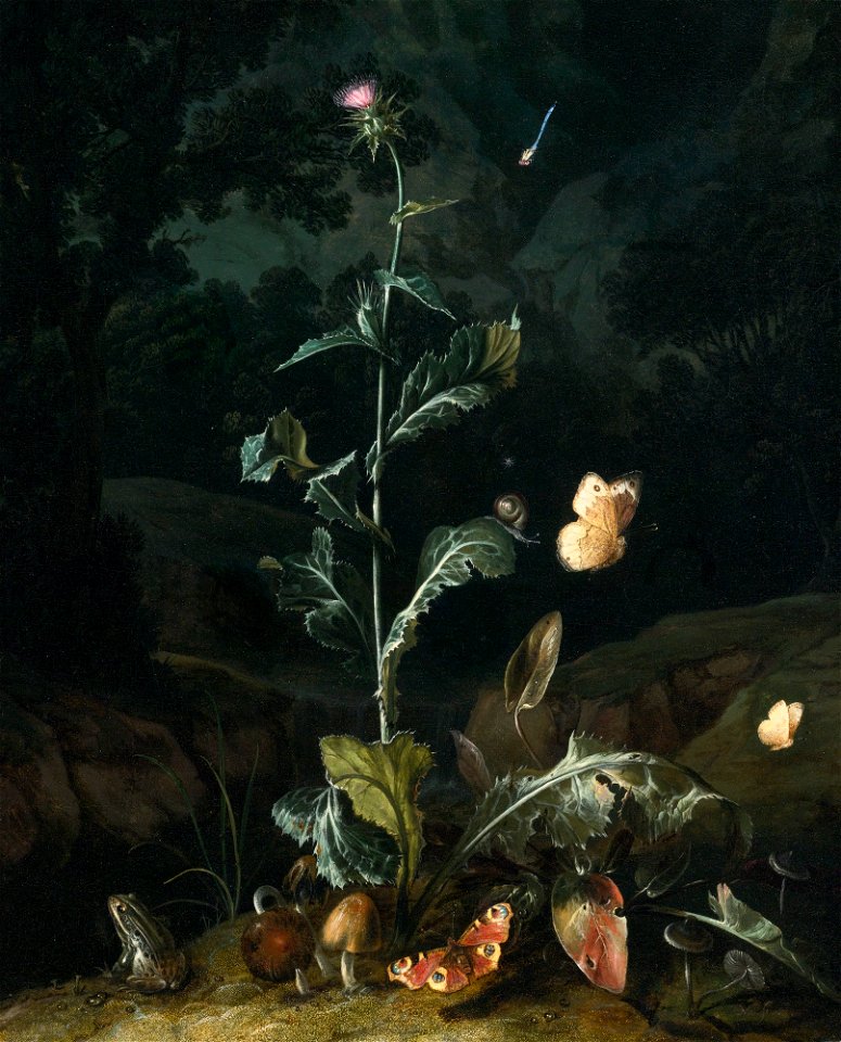 Otto Marseus van Schrieck - Forest floor still-life with flowers and animals (1671)
