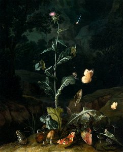 Otto Marseus van Schrieck - Forest floor still-life with flowers and animals (1671). Free illustration for personal and commercial use.