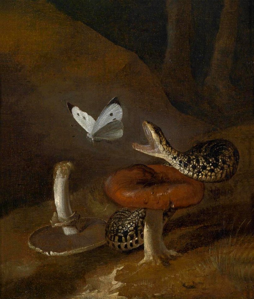 Otto Marseus van Schrieck - A Sous-bois still-life with a snake