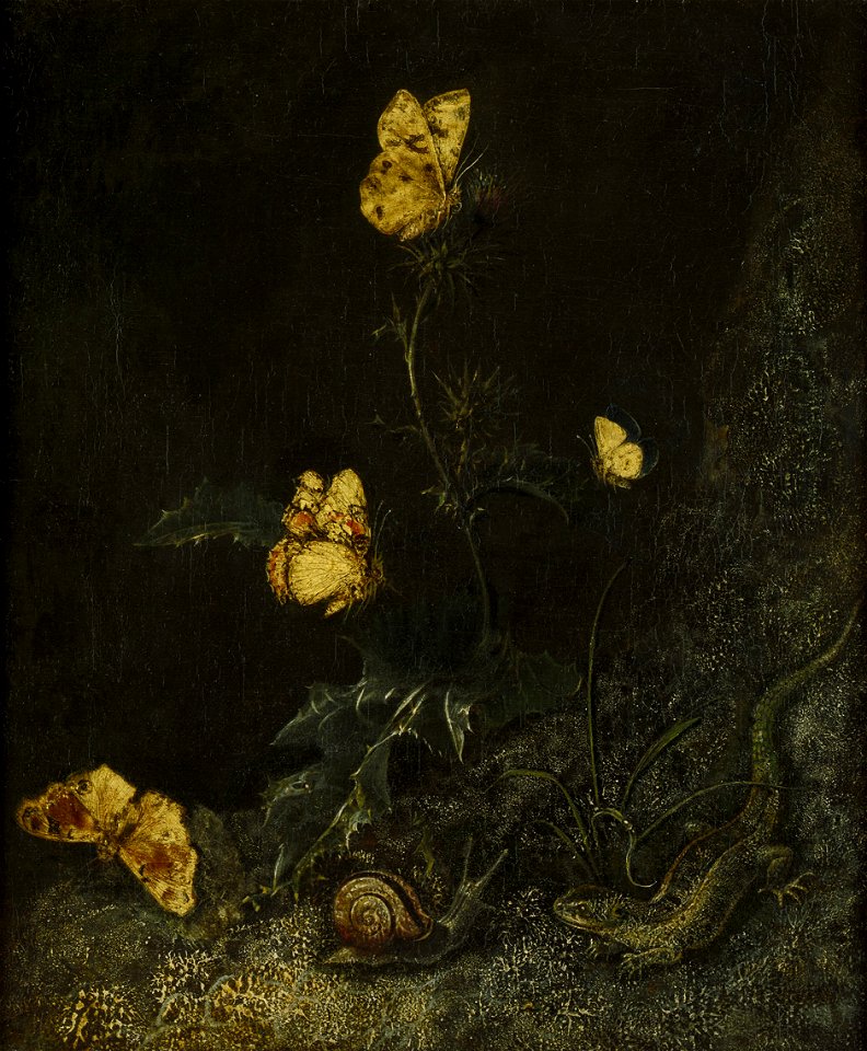 Otto Marseus van Schrieck - Forest piece with butterflies, snail and lizard