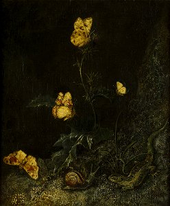 Otto Marseus van Schrieck - Forest piece with butterflies, snail and lizard. Free illustration for personal and commercial use.