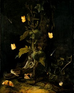 Serpent and Butterflies in the Woods (Otto Marseus van Schrieck) - Nationalmuseum - 17507. Free illustration for personal and commercial use.