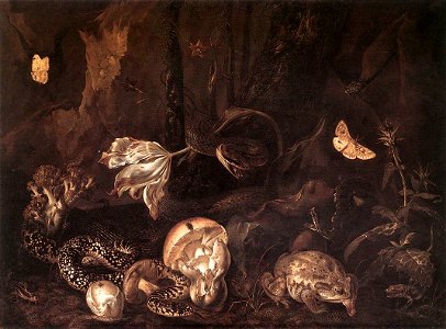 Otto Marseus van Schrieck - Still-Life with Insects and Amphibians - WGA21062
