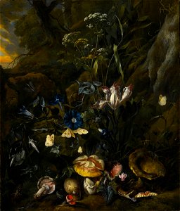 Otto Marseus van Schrieck - Forest floor still-life with flowers and animals. Free illustration for personal and commercial use.