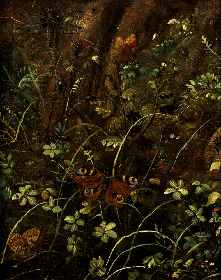 Otto Marseus van Schrieck - Forest floor still-life with Butterflies