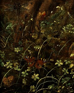 Otto Marseus van Schrieck - Forest floor still-life with Butterflies. Free illustration for personal and commercial use.