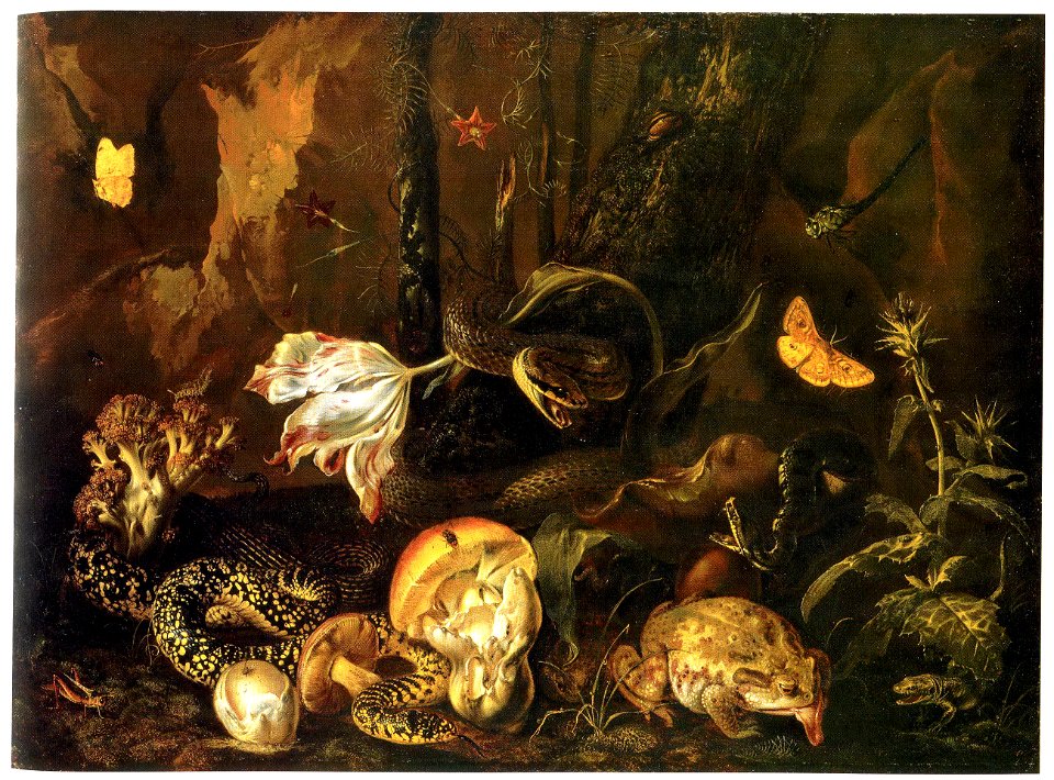 Otto Marseus van Schrieck-Stillleben mit Insekten und Amphibien