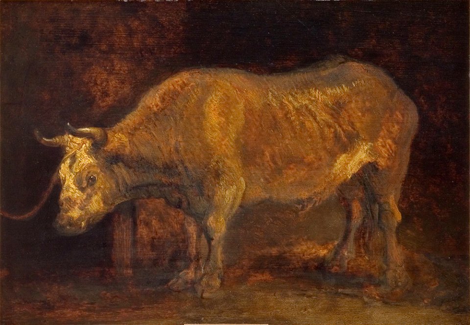 School of Rembrandt - An Ox Standing - KMS3220