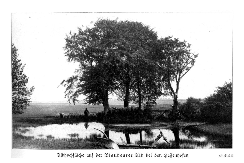 Schwabenalb S013C, Albhochfläche Blaubeuern Hessenhöfe, K. Sträb