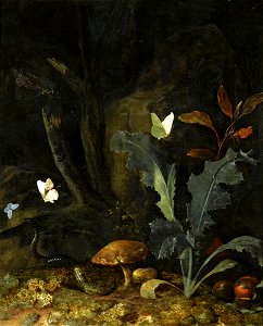 Otto Marseus van Schrieck - Nocturnal forest landscape. Free illustration for personal and commercial use.