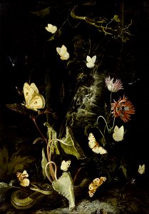 Otto Marseus van Schrieck - Forest still-life with butterflies, snake, frog and dragonfly. Free illustration for personal and commercial use.