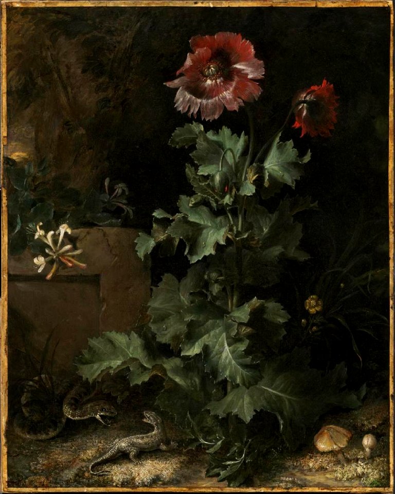 Otto Marseus van Schrieck - Still Life with Snake and Lizard, ca 1670