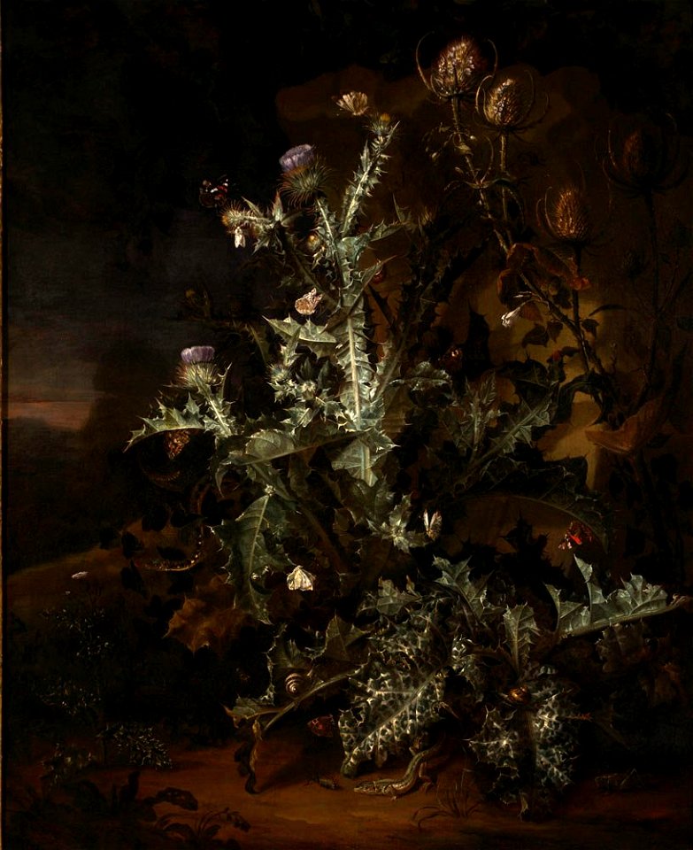 Still Life with Thistle by Otto Marseus van Schrieck