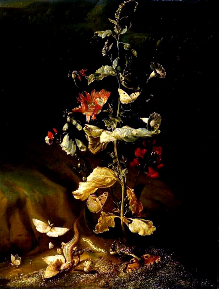 Otto Marseus van Schrieck - Still Life with Flowers, ca 1650-1678