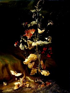 Otto Marseus van Schrieck - Still Life with Flowers, ca 1650-1678