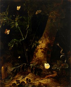 Otto Marseus van Schrieck - Forest floor still-life with a animals around a thistle. Free illustration for personal and commercial use.
