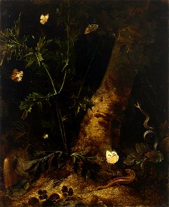 Otto Marseus van Schrieck - Forest floor still-life with a animals around a thistle