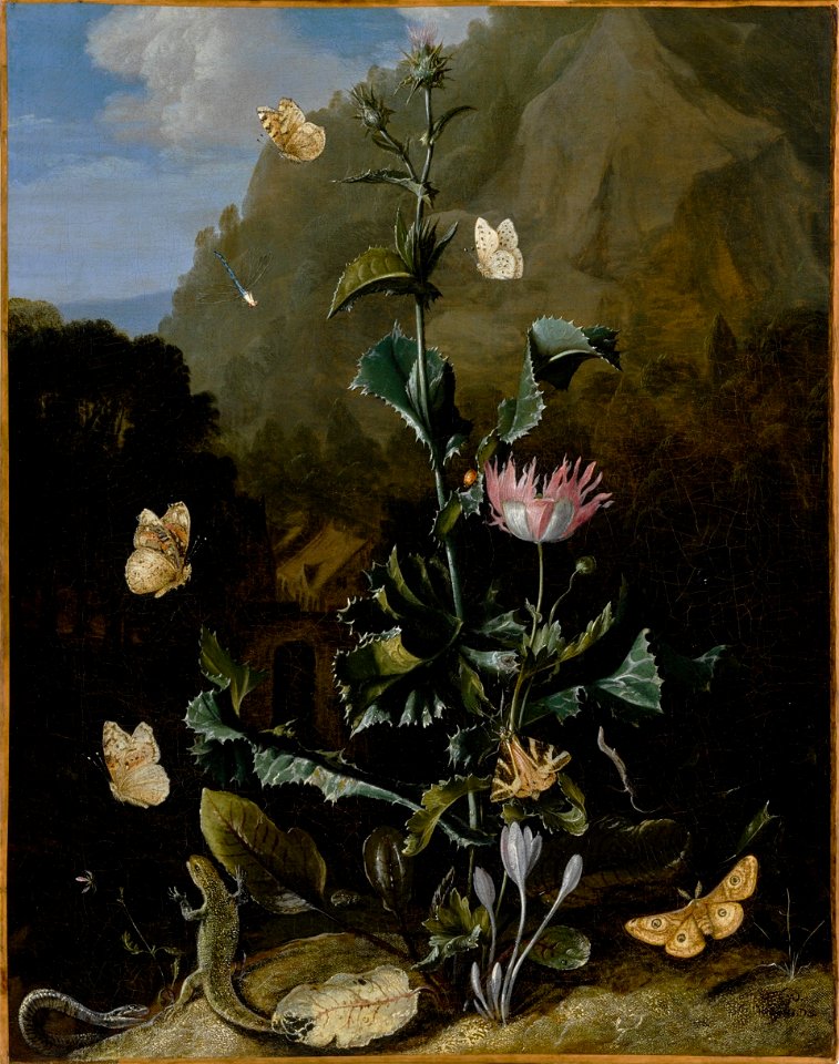 Still life of a thistle and other flowers surrounded by moths, a dragonfly, a lizard and a snake, in a landscape)