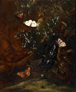 Otto Marseus van Schrieck - A sous-bois still.life with butterflies. Free illustration for personal and commercial use.